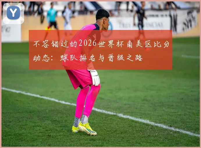 不容错过的2026世界杯南美区比分动态:球队排名与晋级之路