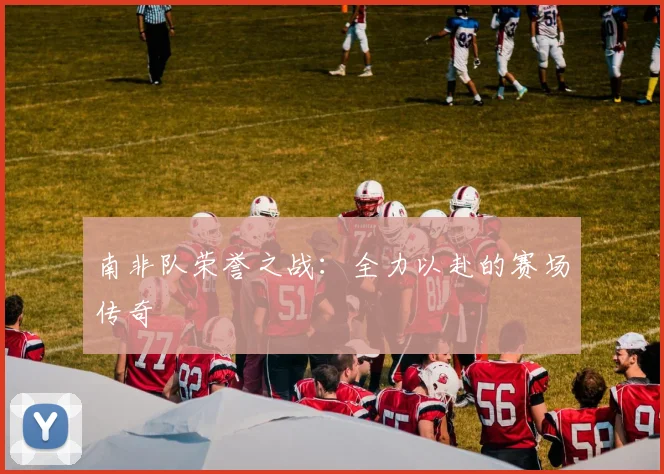 南非队荣誉之战：全力以赴的赛场传奇