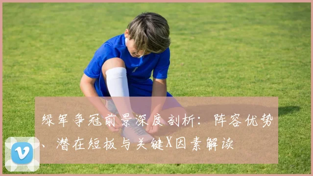 绿军争冠前景深度剖析:阵容优势、潜在短板与关键X因素解读